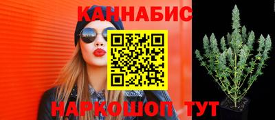 apvp Нальчик