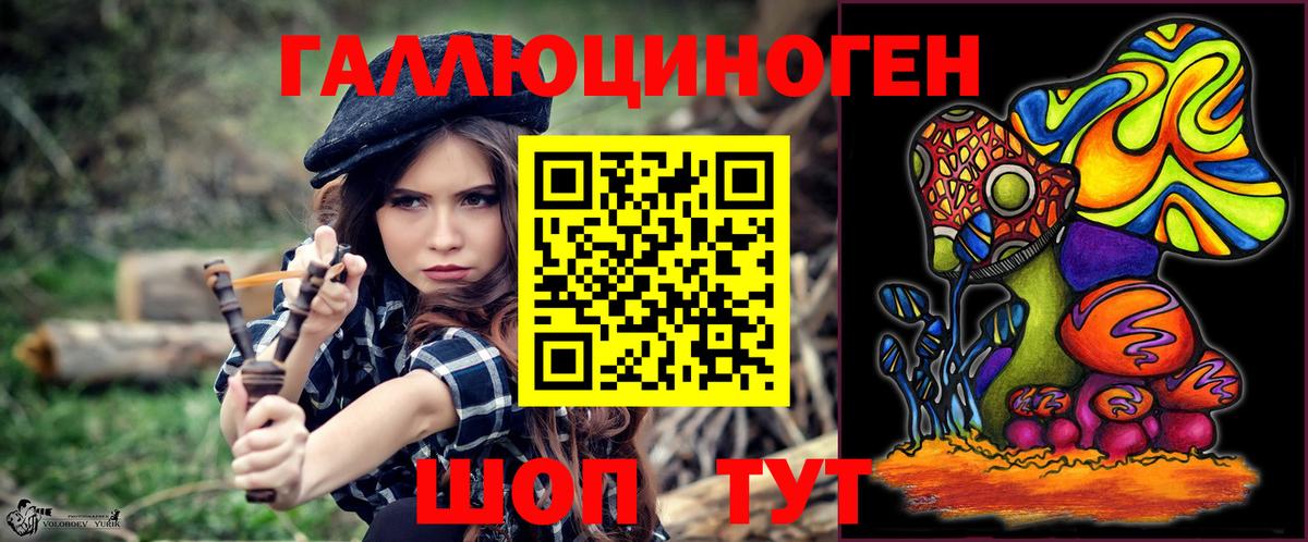 Галлюциногенные грибы Psilocybe Уссурийск